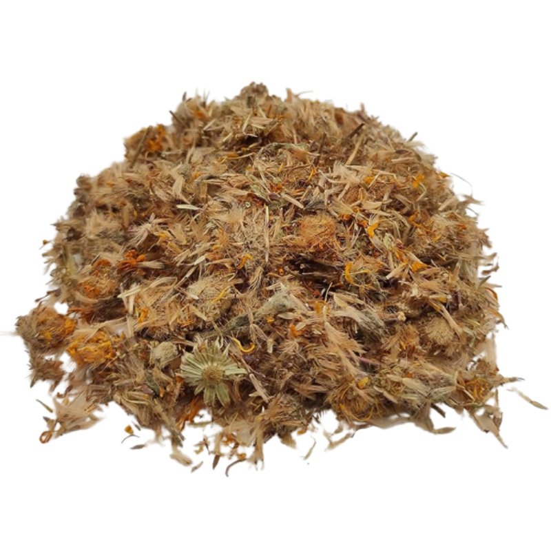 arnica flower seeds Arnica Flowers Herb
