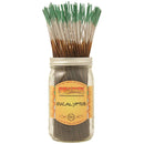 Eucalyptus Incense Sticks - East Meets West USA