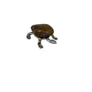 Gemstone Turtle - East Meets West USA