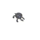 Gemstone Turtle - East Meets West USA