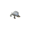 Gemstone Turtle - East Meets West USA