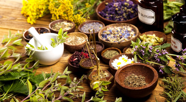 Five Starter Herbs for Beginner Witch's - East Meets West USA