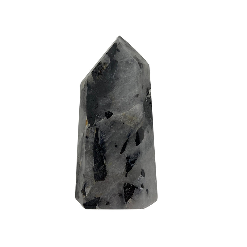 137g Tourmaline Quartz Point