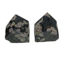 252g Top Polished Black Jade Point
