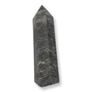 2.7LB Picasso Jasper Point
