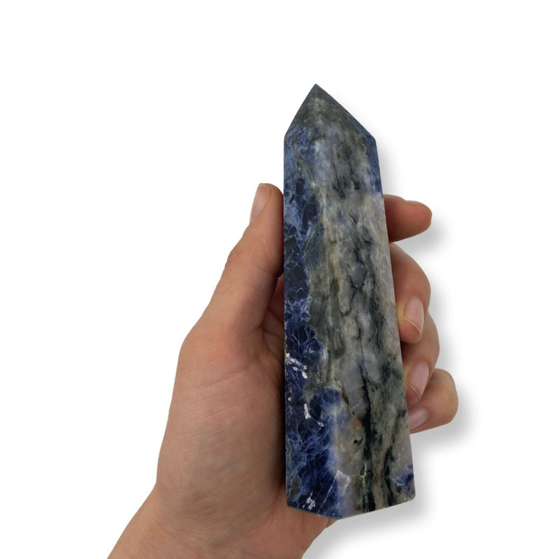 297g Sodalite Point