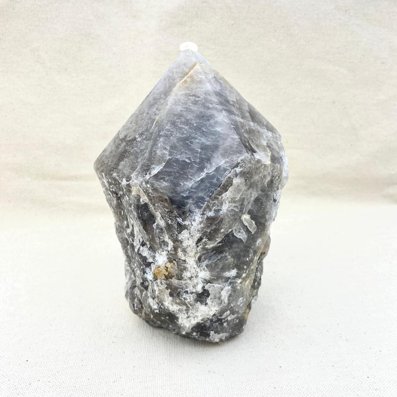 4lb Top Polished Smoky Quartz Point