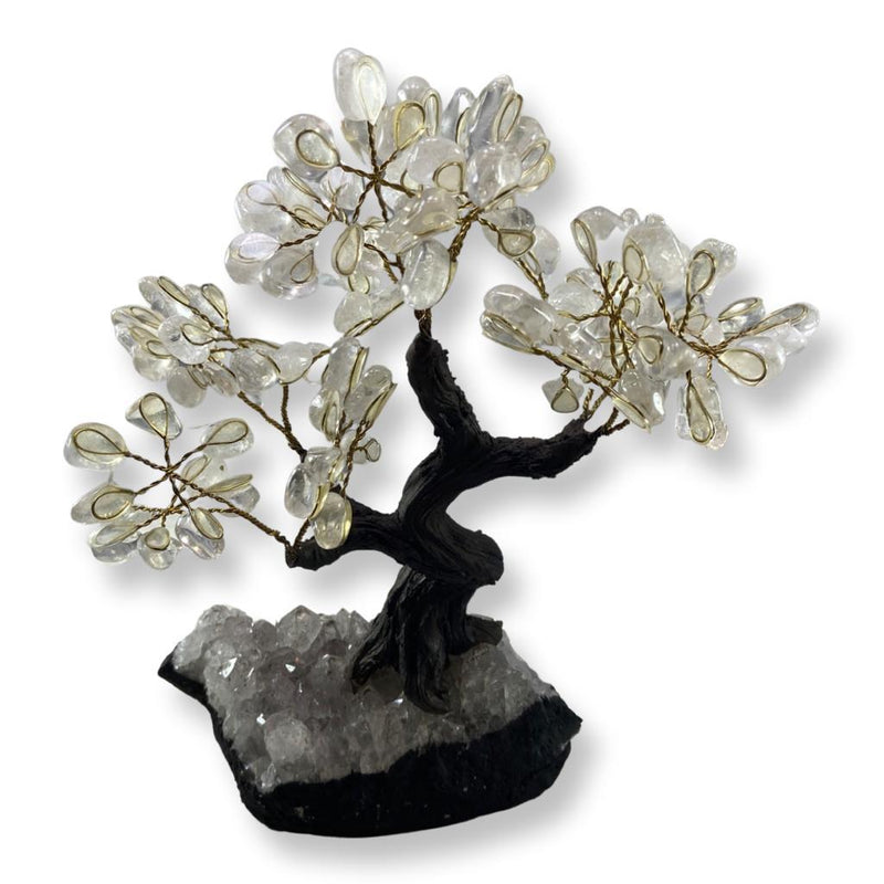 Polished Clear Quartz Crystal Tree