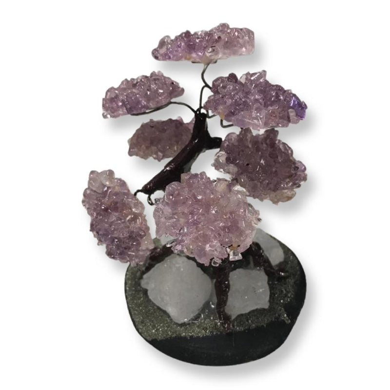 Amethyst Bonsai Tree