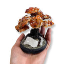 Carnelian Bonsai Tree