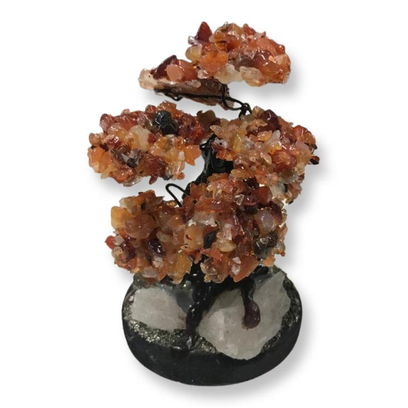 Carnelian Bonsai Tree