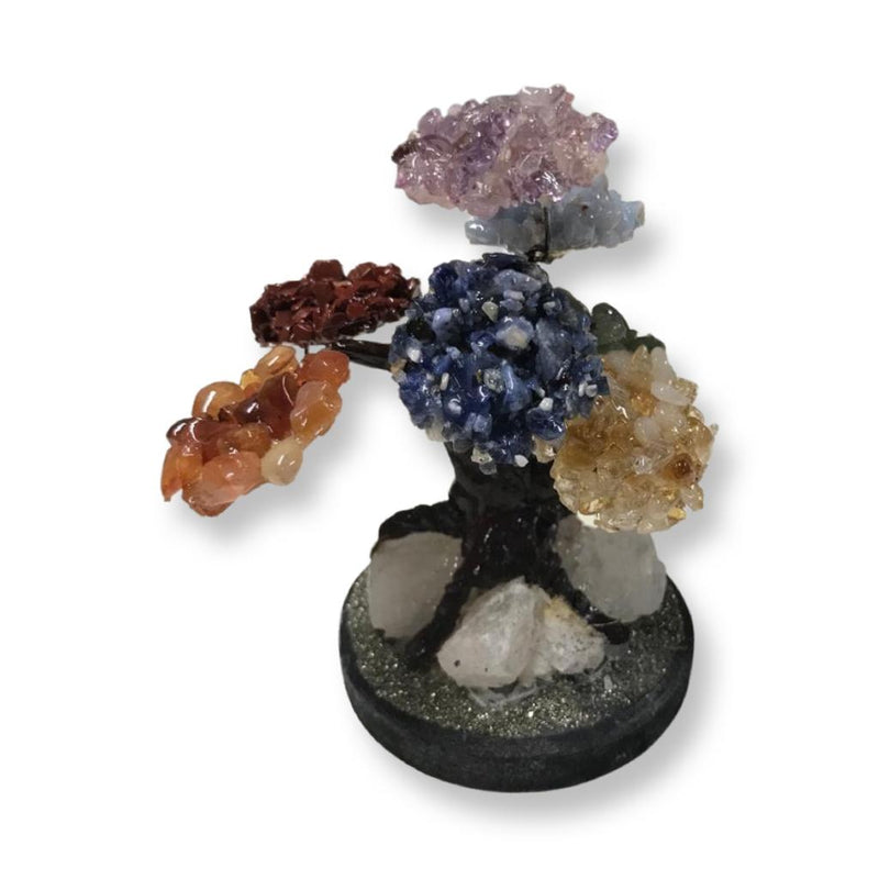 chakra bonsai tree Chakra Bonsai Tree
