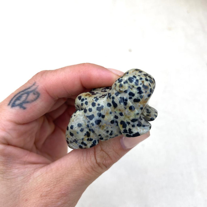 Dalmation Jasper Crystal Toad