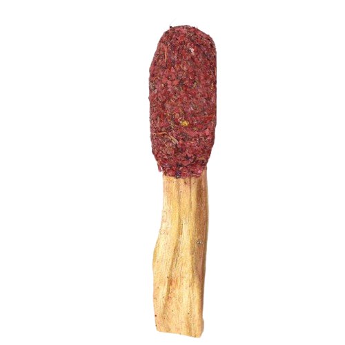 Dragons Blood Palo Santo Stick Pop - East Meets West USA