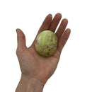 Green Opal Palm Stone