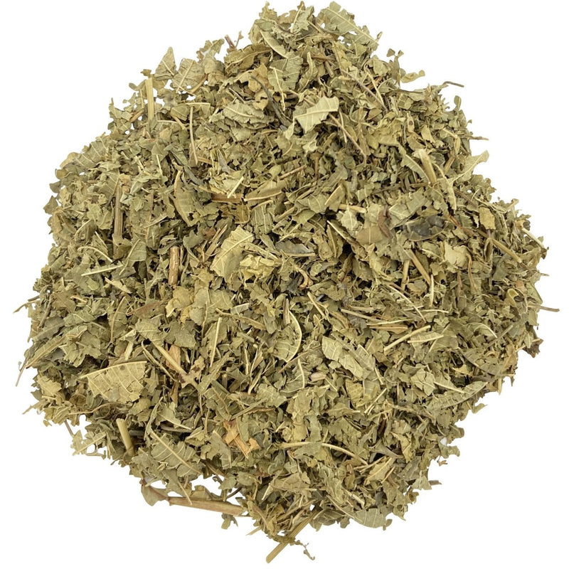 Lemon Verbena Leaf Cut