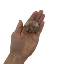 Flower Agate Palm Stone