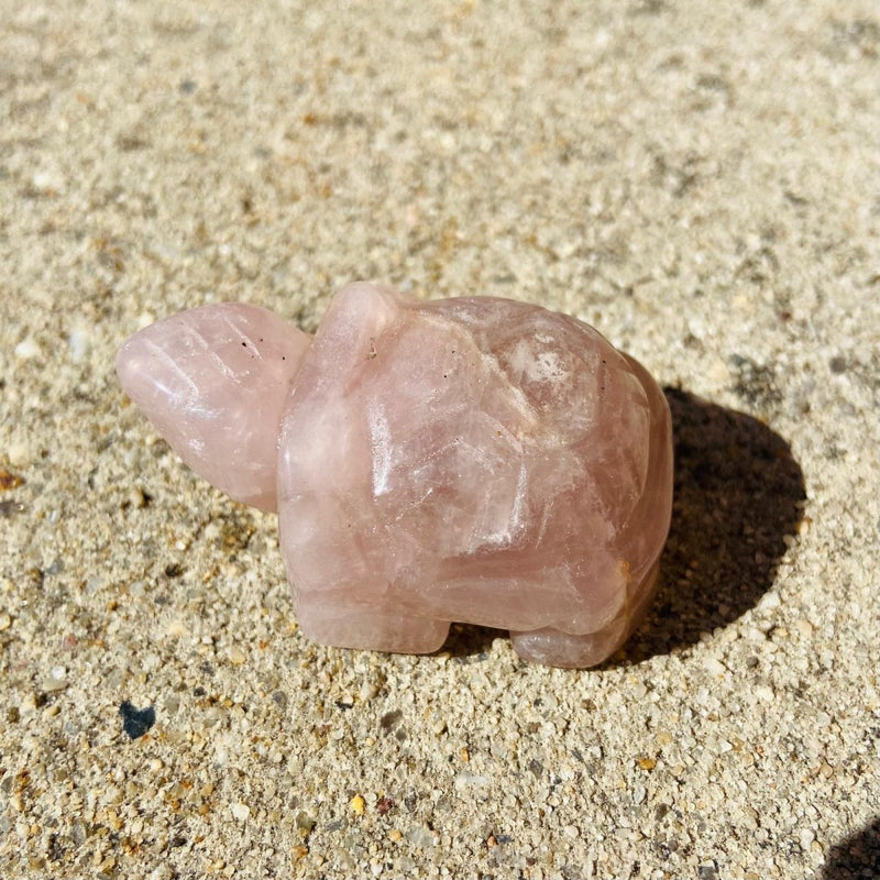 Pink Calcite Turtle - East Meets West USA