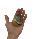 Polychrome Jasper Palm Stone