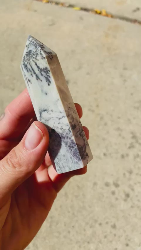 Tree Agate Crystal Point for Comfort