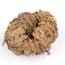 Ressurection Flower: Protection, Prosperity and Purification - East Meets West USA