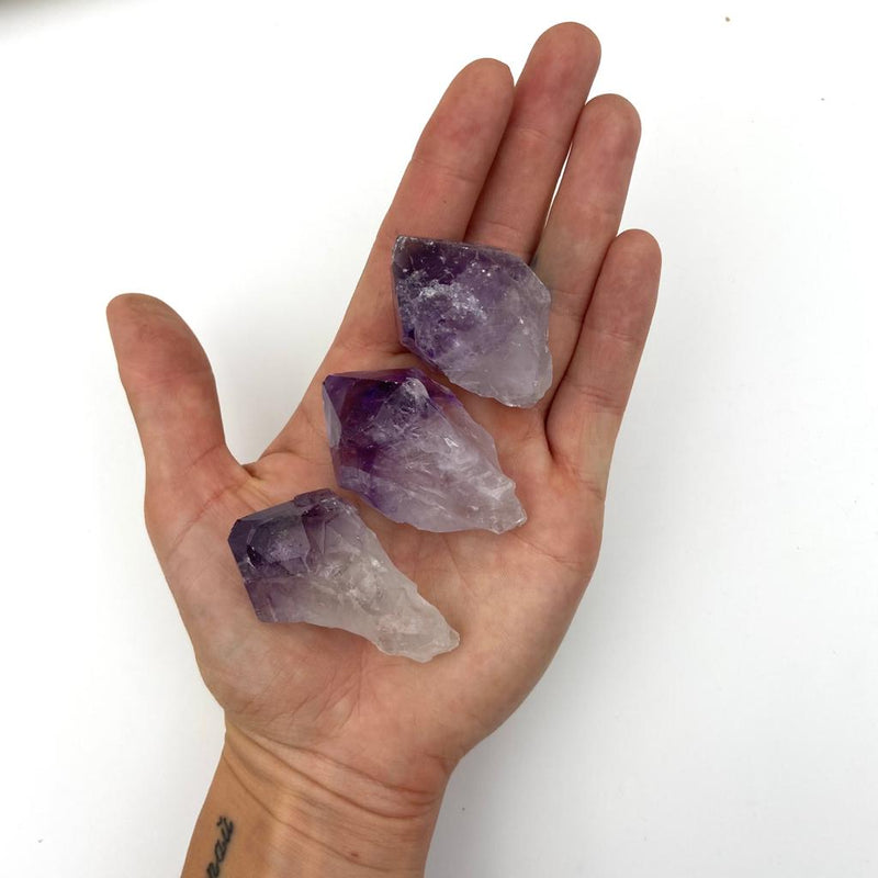 Rough Amethyst Point Clusters