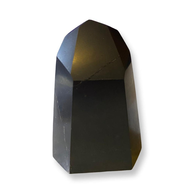 Shungite Free Form