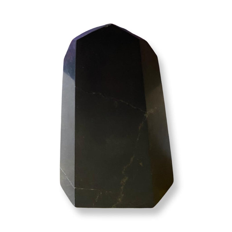 Shungite Free Form