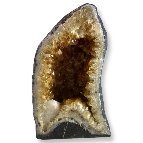 10.65KG Citrine Geode Cave - East Meets West USA