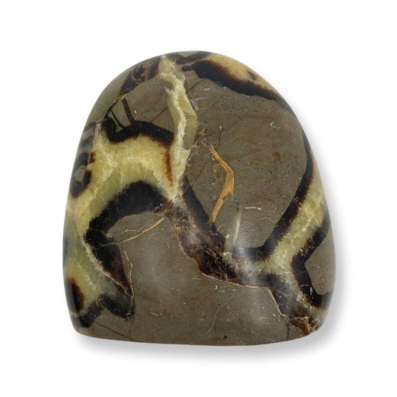 1.14kg Septarian Free Form - East Meets West USA