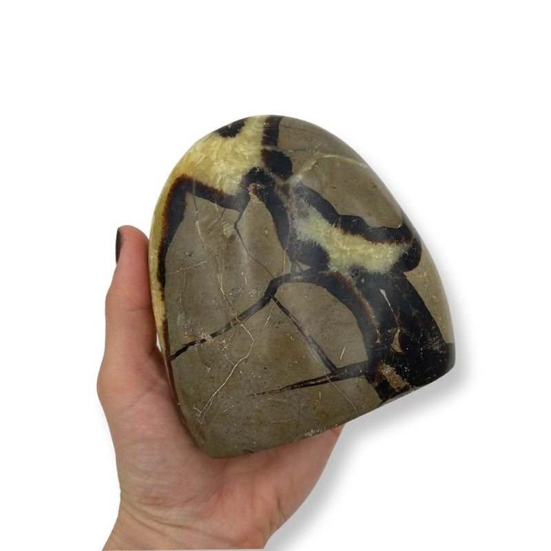 1.14kg Septarian Free Form - East Meets West USA