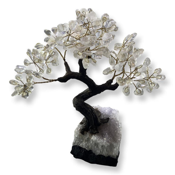 15" Polished Clear Quartz Crystal Tree - East Meets West USA
