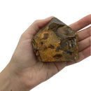 240g Top Polished Tiger Eye Point - East Meets West USA