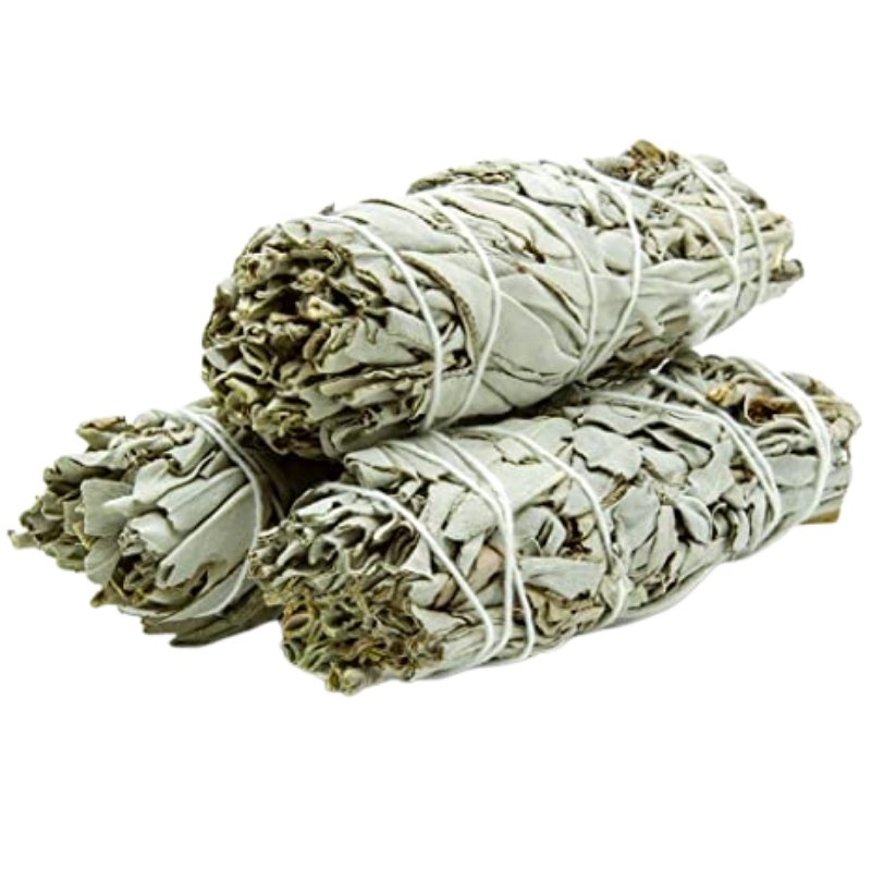 3 Pack White Sage - East Meets West USA