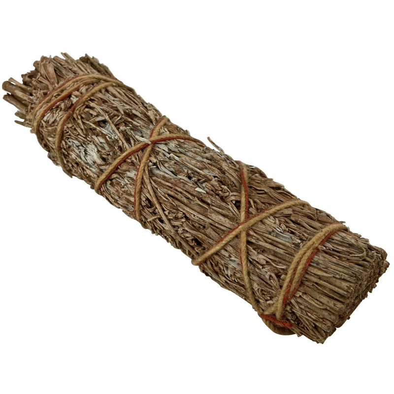 4" Sandlewood Sage - East Meets West USA