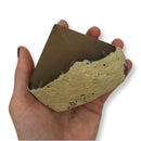 520g Top Polished Grey Agate Point - East Meets West USA