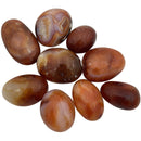 Carnelian Palm Stone - East Meets West USA