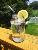 Crystal Glass Straw - East Meets West USA