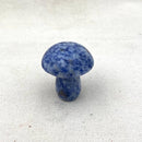 Crystal Mushroom - East Meets West USA