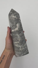 2.7LB Picasso Jasper Point