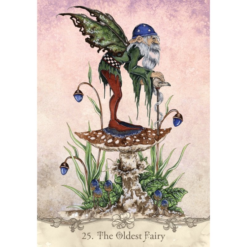 Fairy Wisdom Oracle Deck & Book Set - East Meets West USA