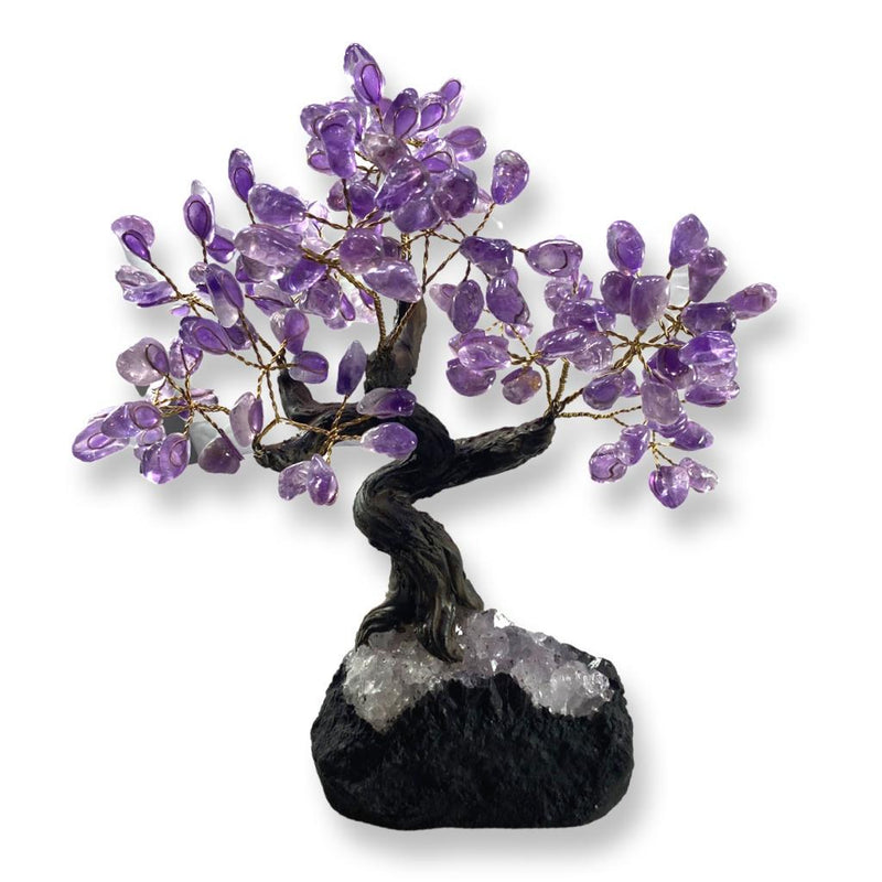 Feng Shui Polished Amethyst Crystal Tree - East Meets West USA