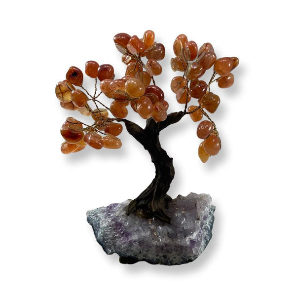 Feng Shui Polished Carnelian Crystal Tree - East Meets West USA