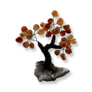 Feng Shui Polished Carnelian Crystal Tree - East Meets West USA