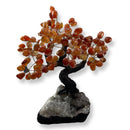 Feng Shui Polished Carnelian Crystal Tree - East Meets West USA