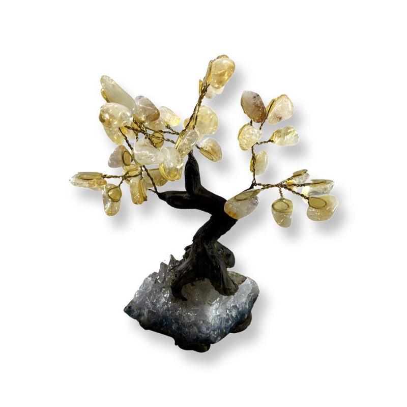 Feng Shui Polished Citrine Crystal Tree - East Meets West USA