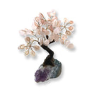 Feng Shui Polished Rose Quartz Crystal Tree - East Meets West USA