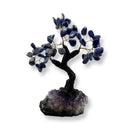 Feng Shui Polished Sodalite Crystal Tree - East Meets West USA