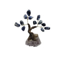 Feng Shui Polished Sodalite Crystal Tree - East Meets West USA
