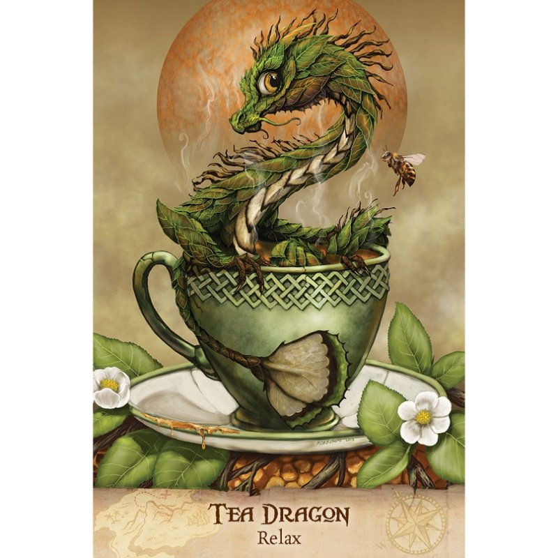 Field Guide To Garden Dragons - East Meets West USA